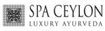 Spaceylon logo