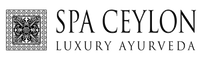 Spaceylon logo