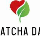 MatchaDay logo