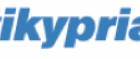 pneumatikypriamo logo